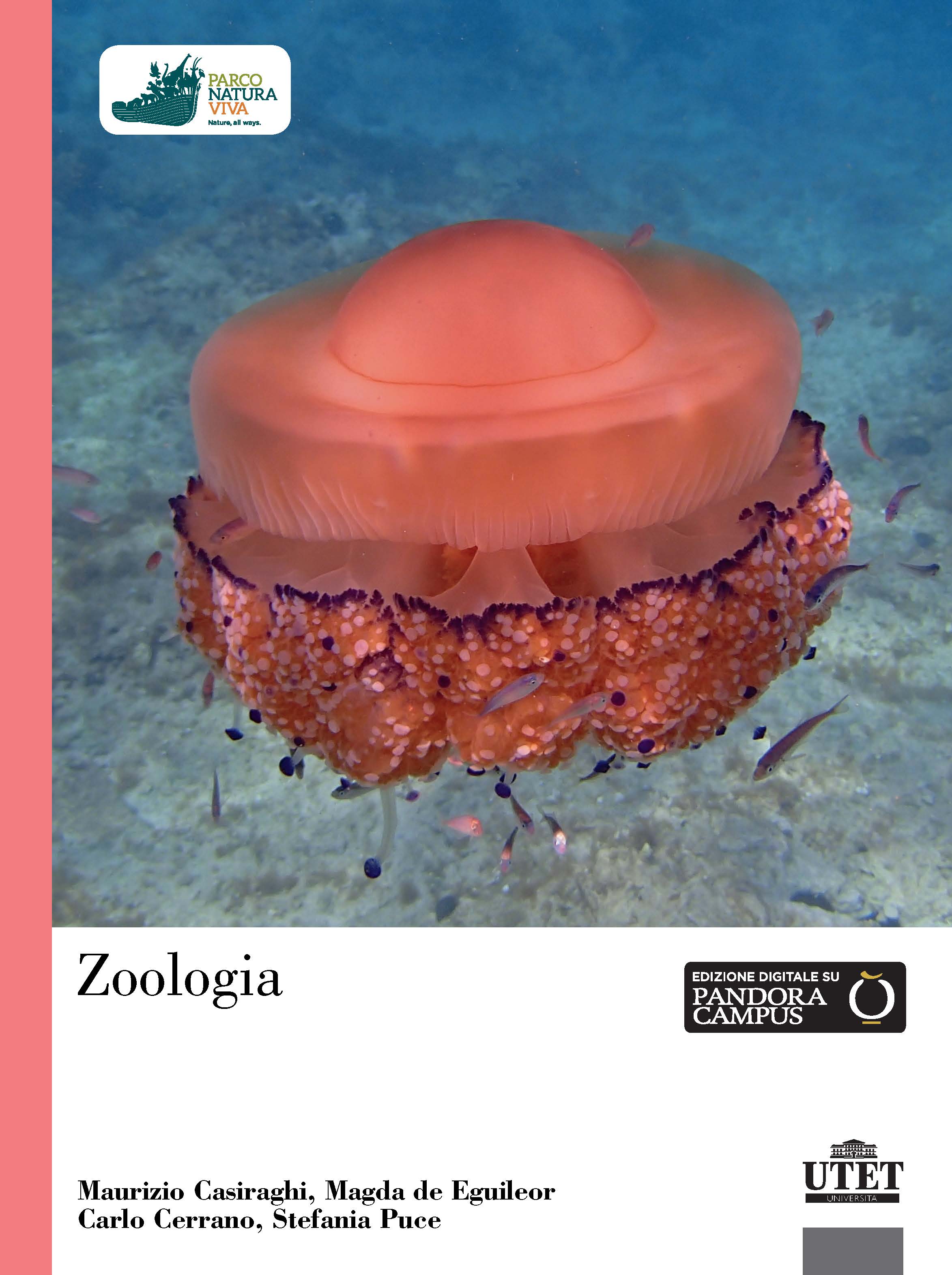 Zoologia