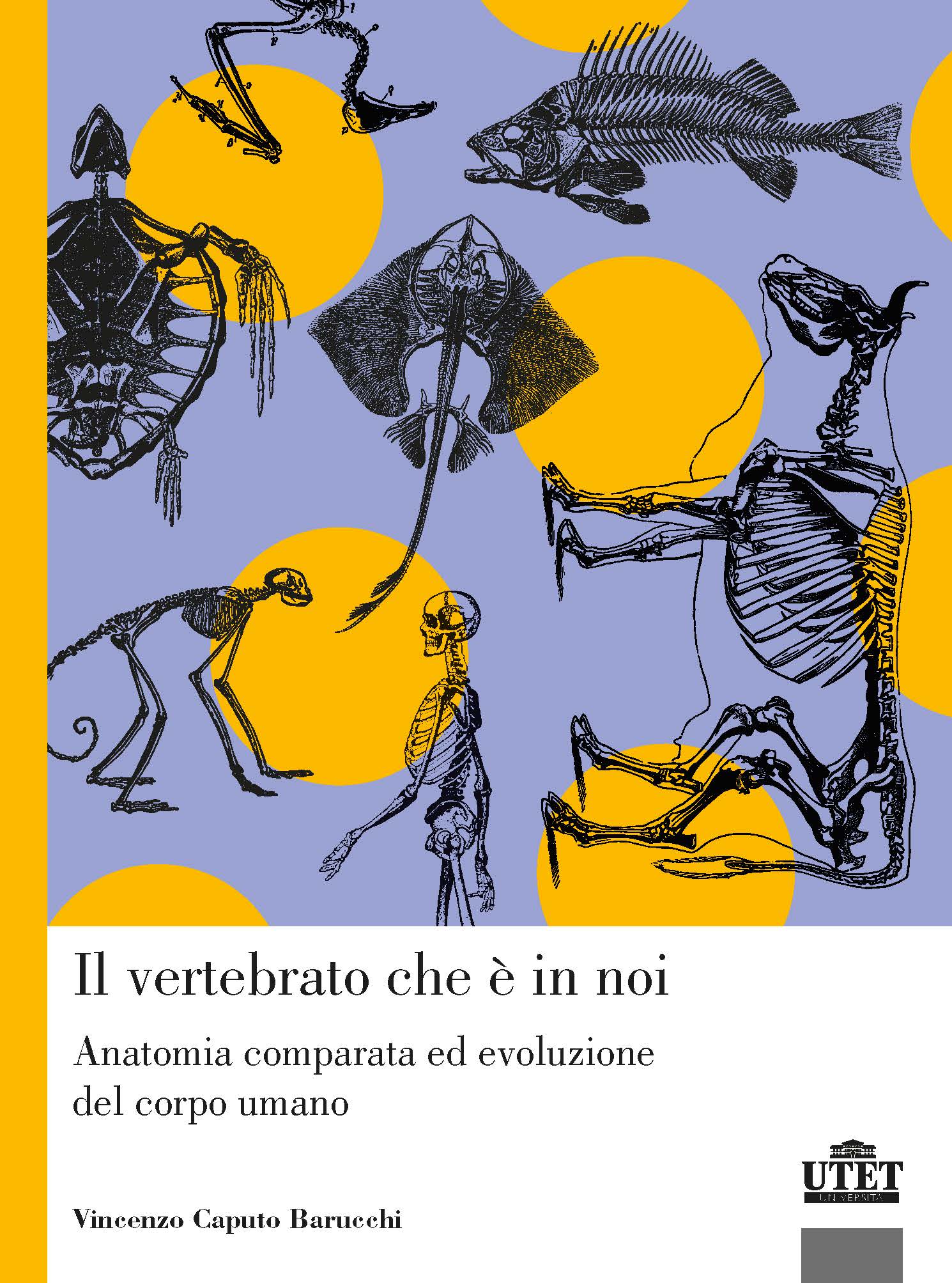 Il vertebrato che è in noi Il vertebrato che è in noi