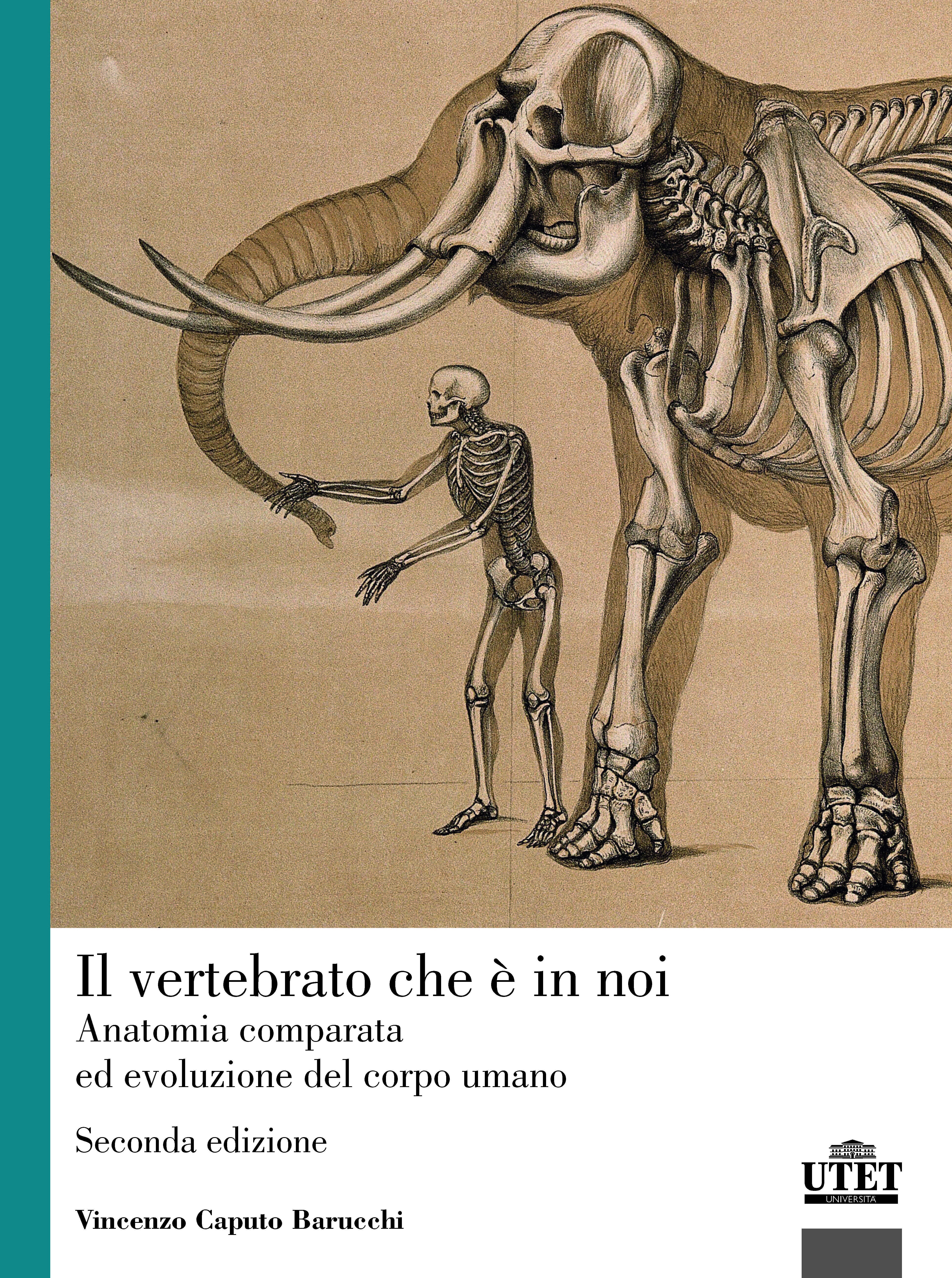 Il vertebrato che è in noi